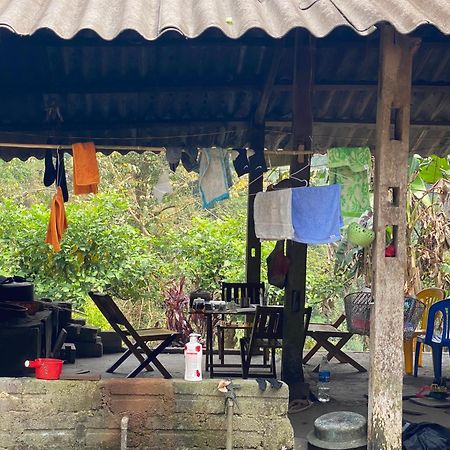 ها جيانج Bikki'S Jungle Homestay المظهر الخارجي الصورة