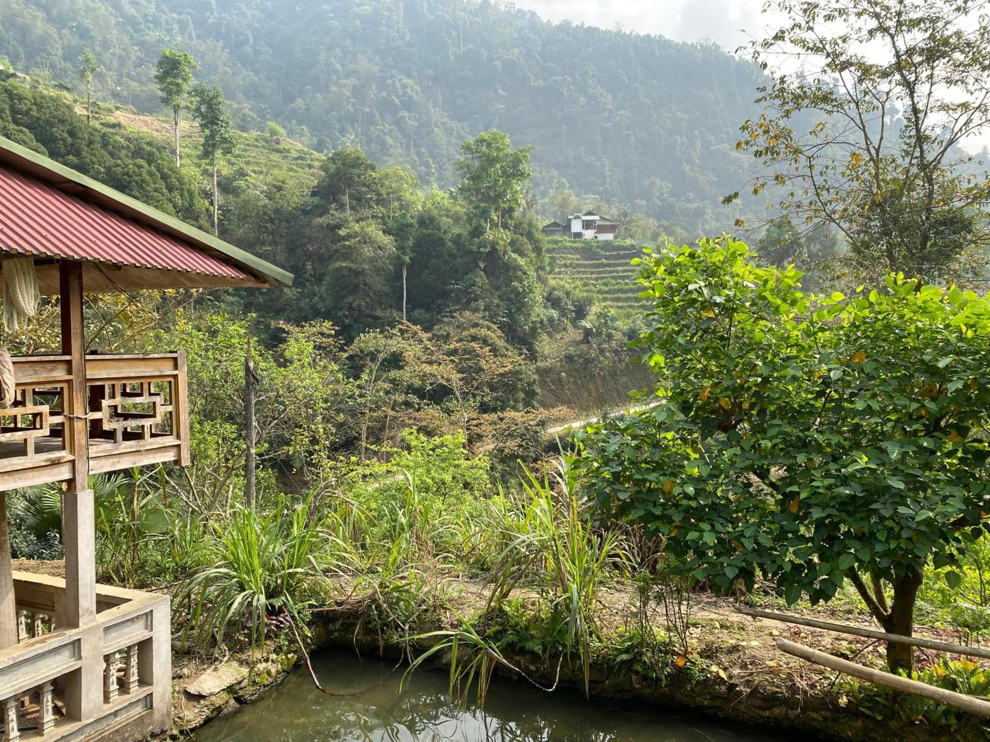 ها جيانج Bikki'S Jungle Homestay المظهر الخارجي الصورة