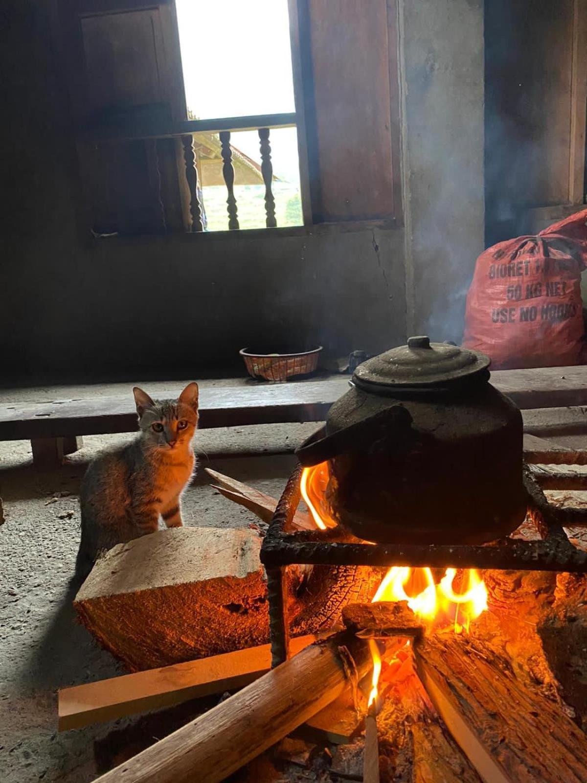 ها جيانج Bikki'S Jungle Homestay المظهر الخارجي الصورة